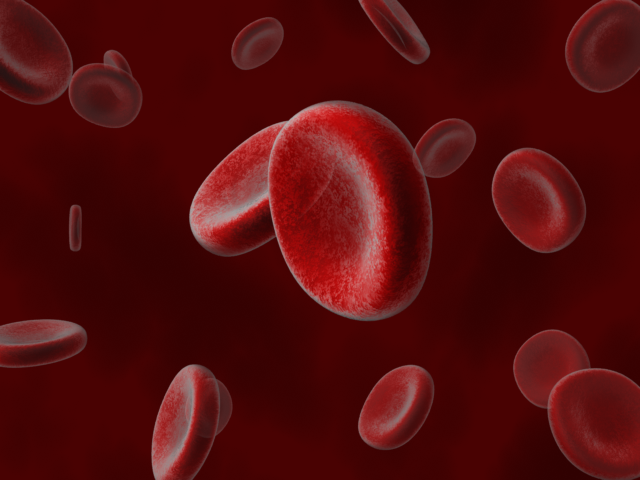 Blood Cells