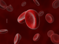 Blood Cells